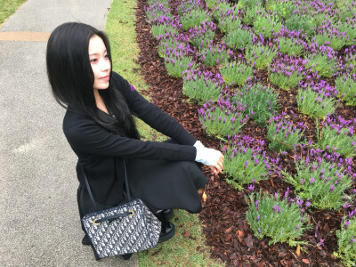 张圭真