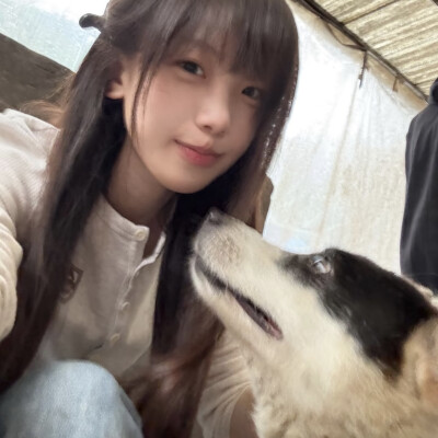 教司