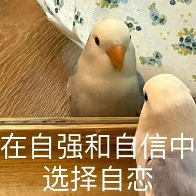 表情包