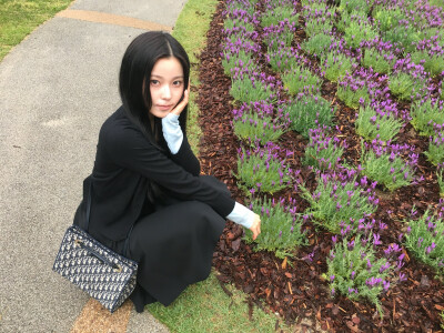张圭真