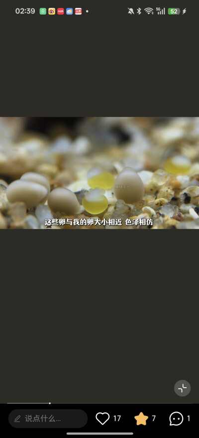 。