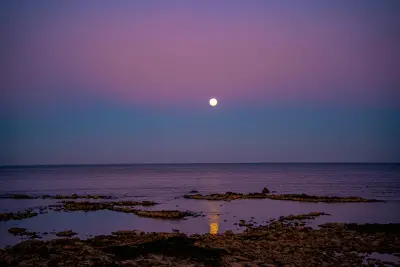 Photo by WPcoder