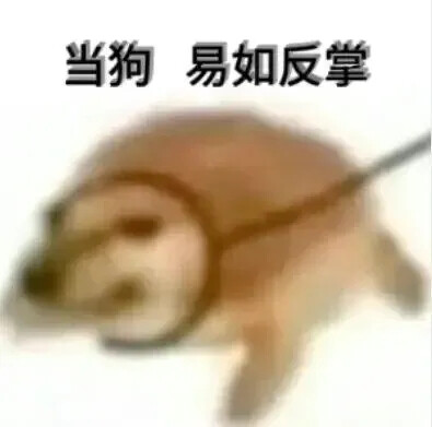 表情包