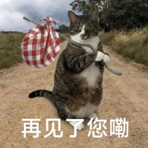 猫猫表情包