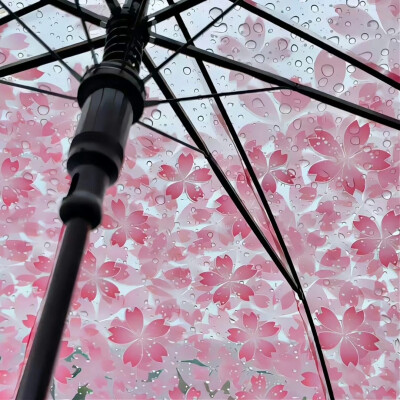 背景