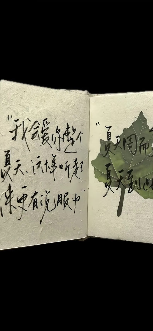 侵删