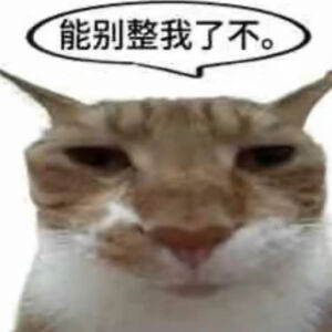 猫猫表情包