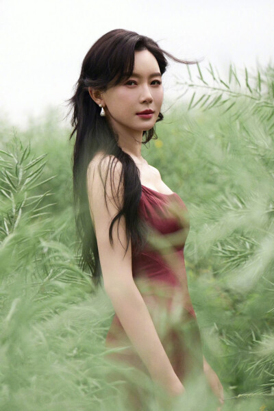 陈数