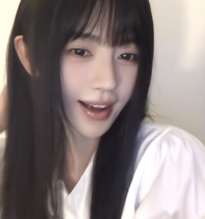 小芙蝶