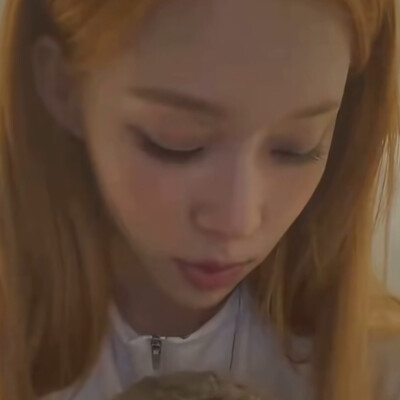 两只狗