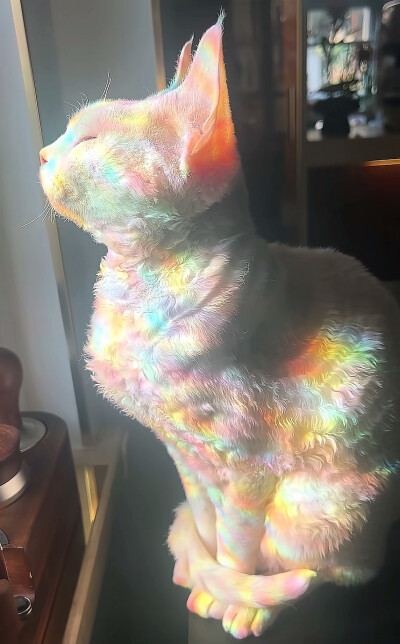 ～