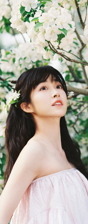 杨肸子