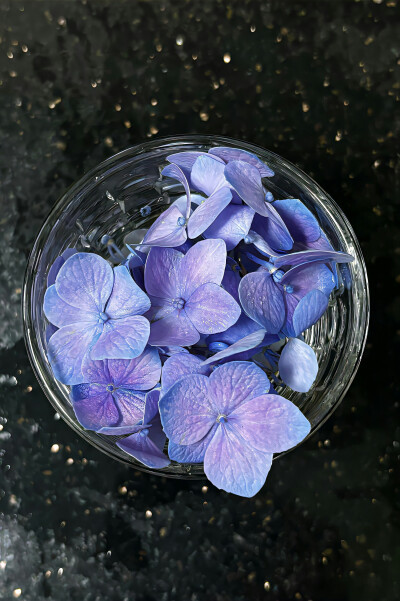 绣球花背景图 无尽夏背景图 紫色系背景图