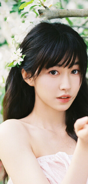 杨肸子