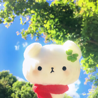 from 网络