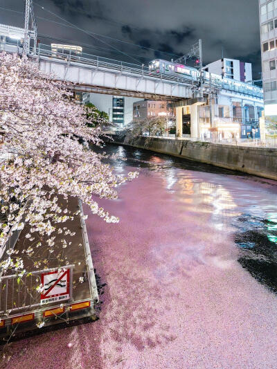 只有日本