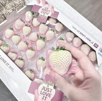 pinkgreen粉绿色美学