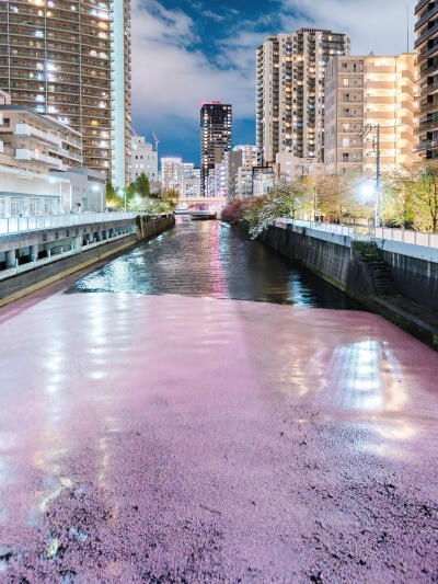 只有日本