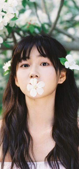 杨肸子