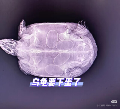 。