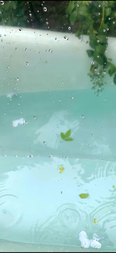壁纸
