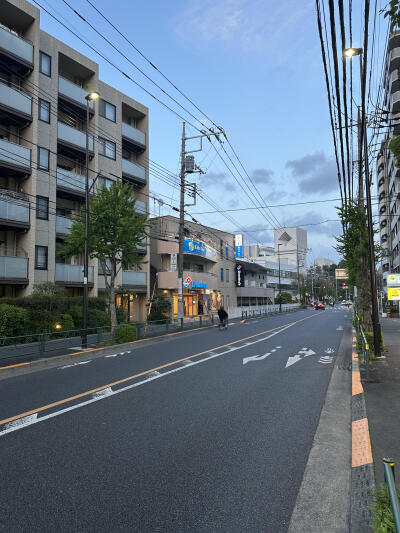 只有日本