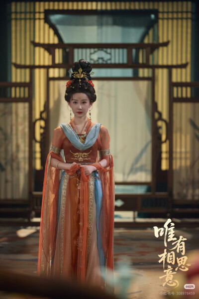 唯有相思意