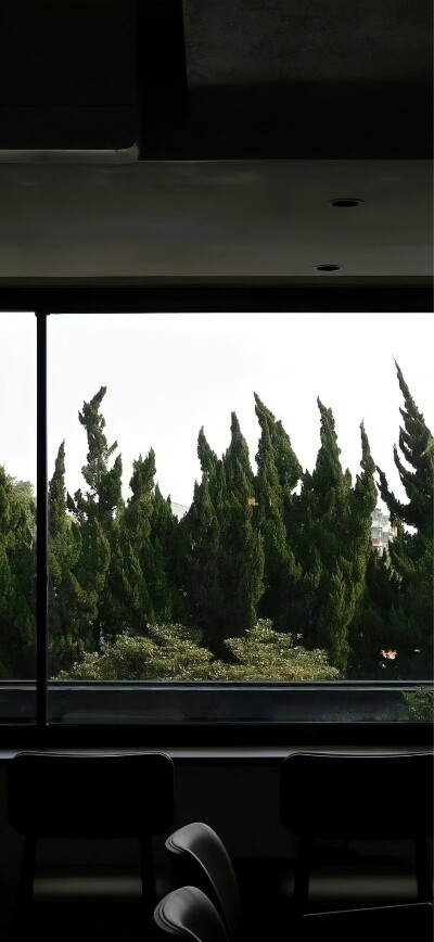 竖屏手机壁纸 高清 绿色