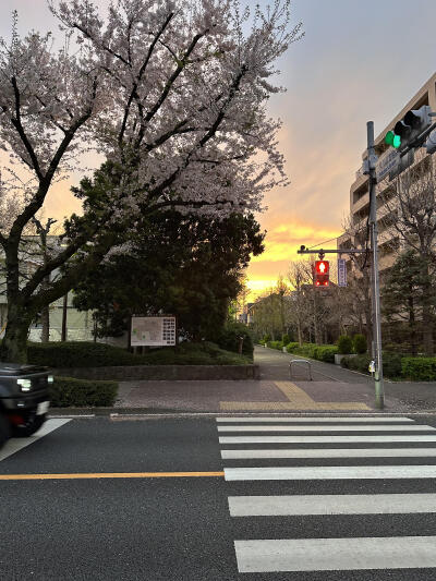 只有日本