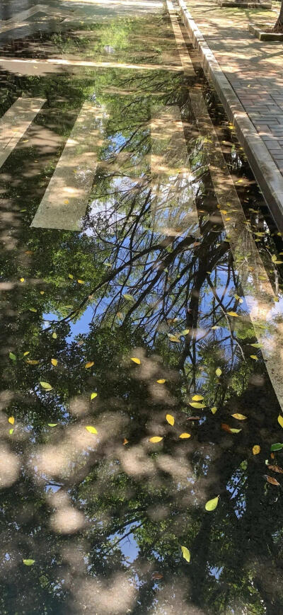 壁纸
