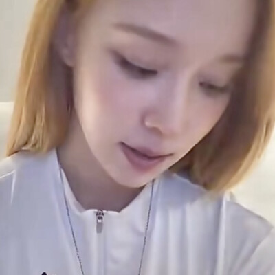 有两只狗