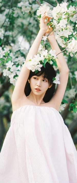 杨肸子