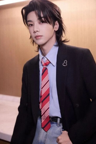 华晨宇