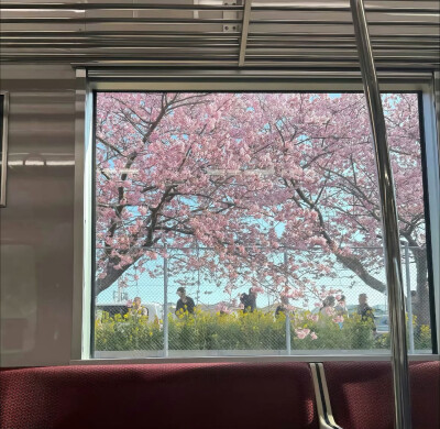 图源ks：偷喝汽水