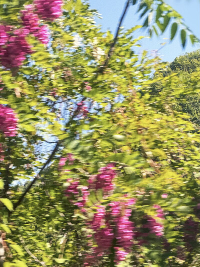 乱七八糟的自拍