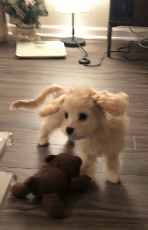 丰富一下手机壁纸吧 ‪.ᐟ‪.ᐟ ​​​
#小清新壁纸#