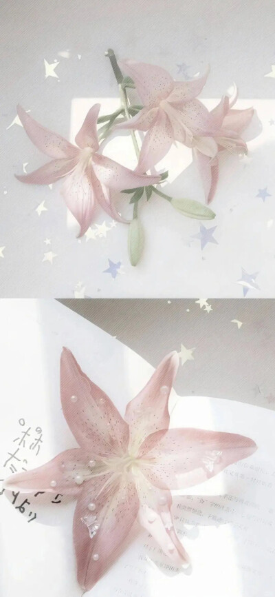 手机壁纸