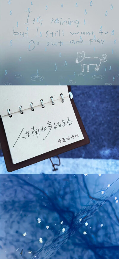 手机壁纸