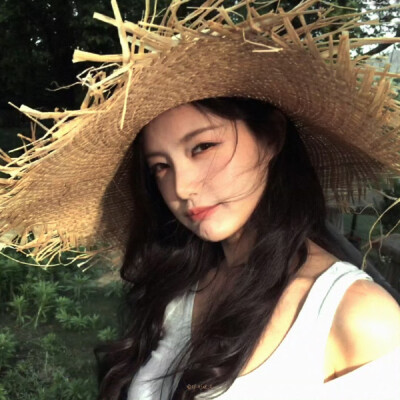 李一桐