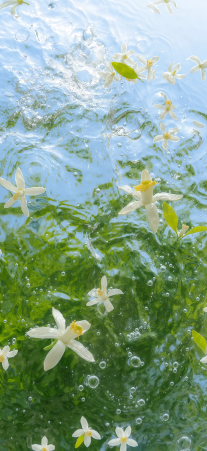 明媚的壁纸