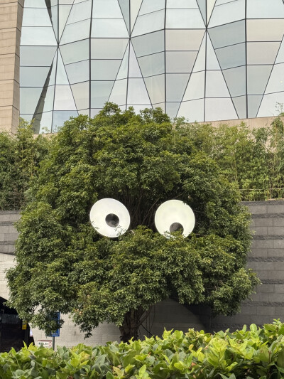 乱七八糟的自拍