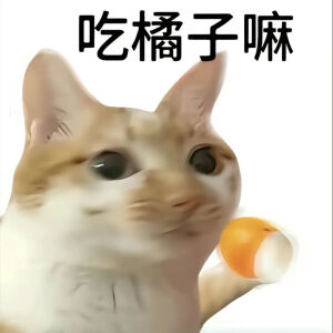 猫猫表情包