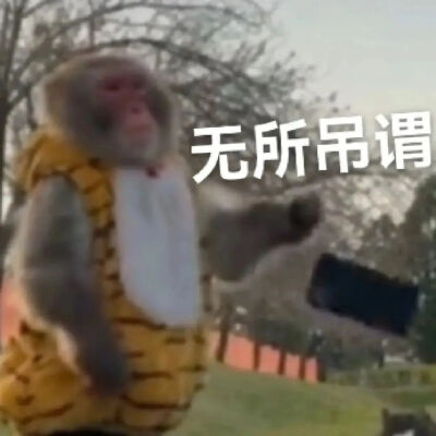 表情包