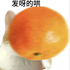 猫猫表情包