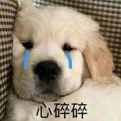 表情包