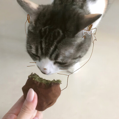 图源ks：偷喝汽水