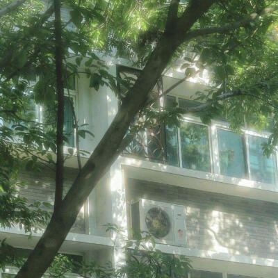 夏天绿色系