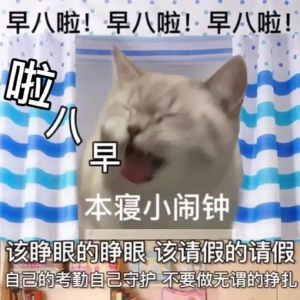 猫猫表情包