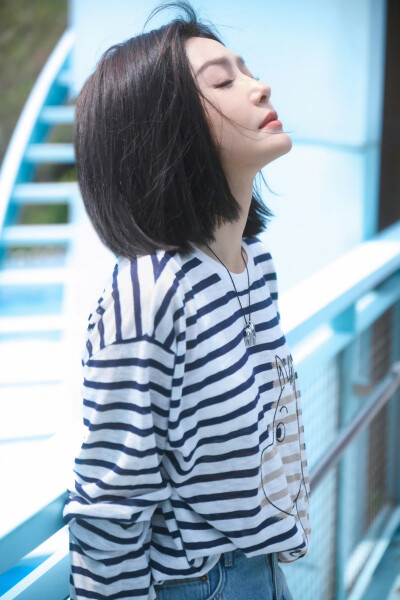 秦岚