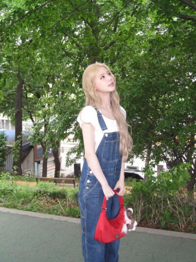 赵美延